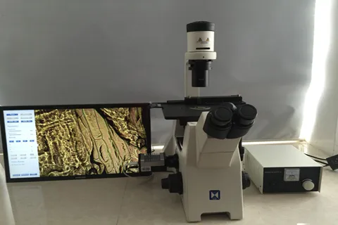 Research Level Inverted Biological Microscope (LIB-305)